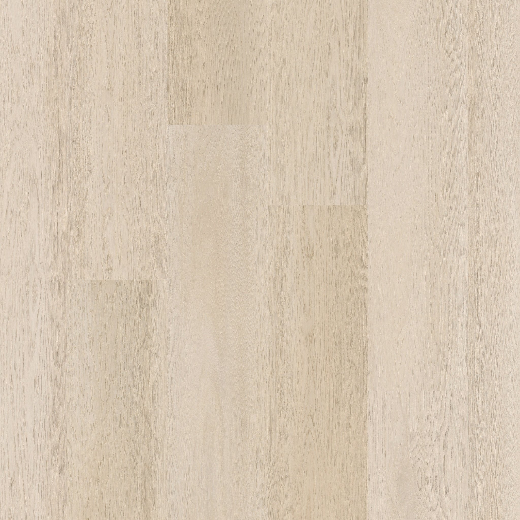 Therdex 15081 Premier Klebe - Vinyl - Solzaleben.de
