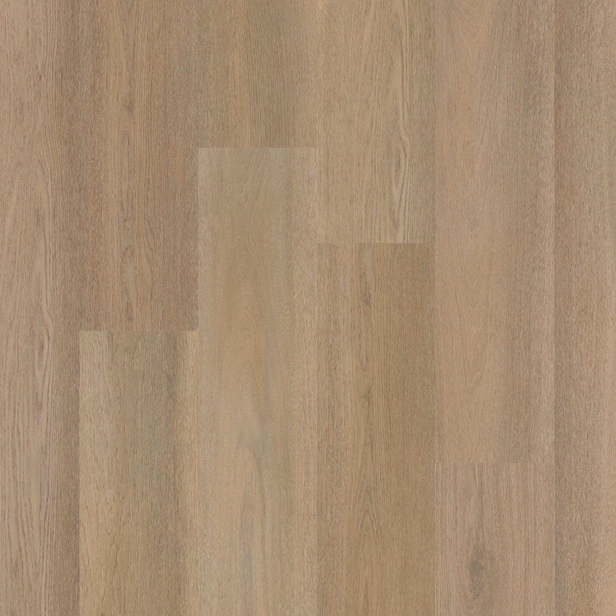 Therdex 15084 Premier Klebe - Vinyl - Solzaleben.de