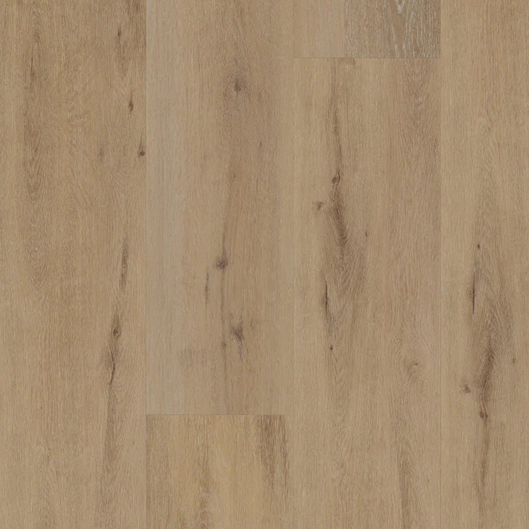 Belakos Attico 800 Klebe - Vinyl - Solzaleben.de