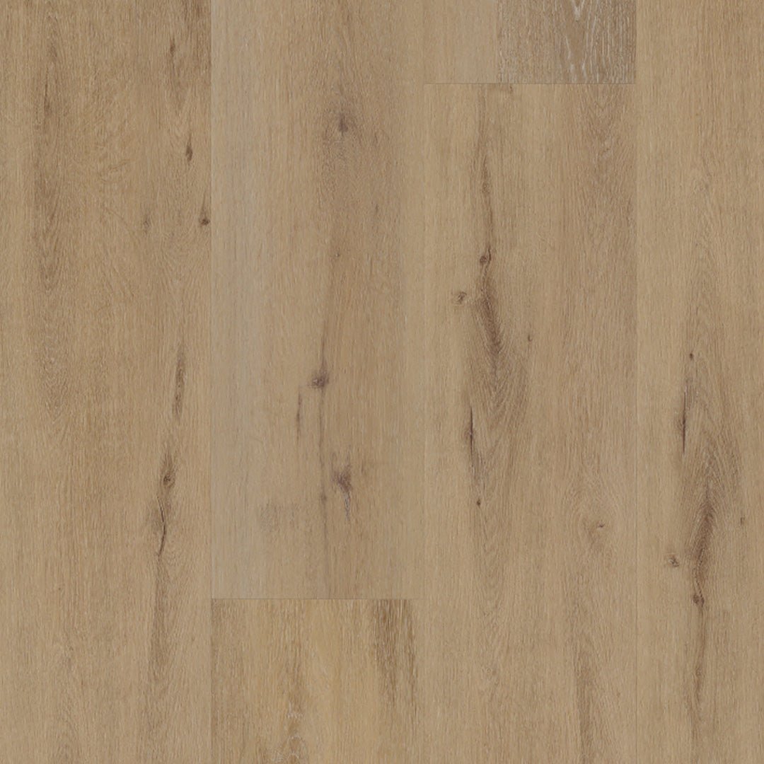 Belakos Attico 800 Klebe-Vinyl - Solzaleben.de