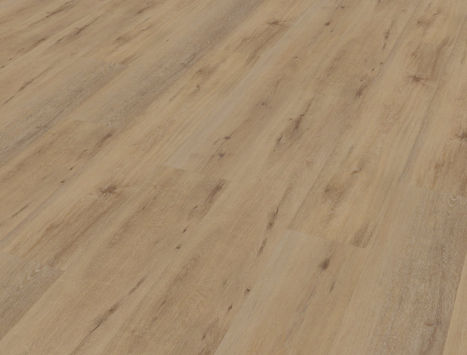 Belakos Attico 800 Klebe - Vinyl - Solzaleben.de