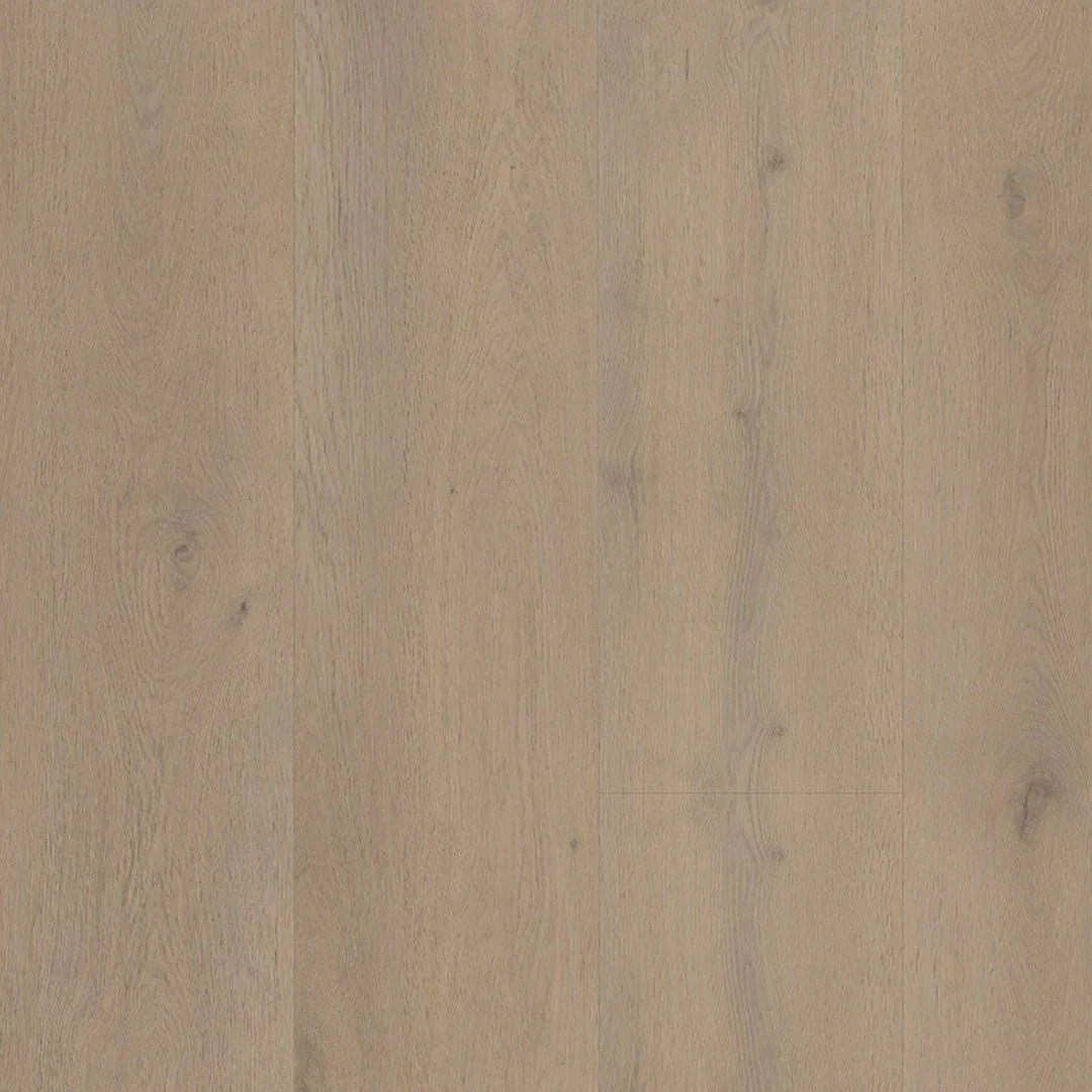 Belakos Attico 820 Klebe - Vinyl - Solzaleben.de