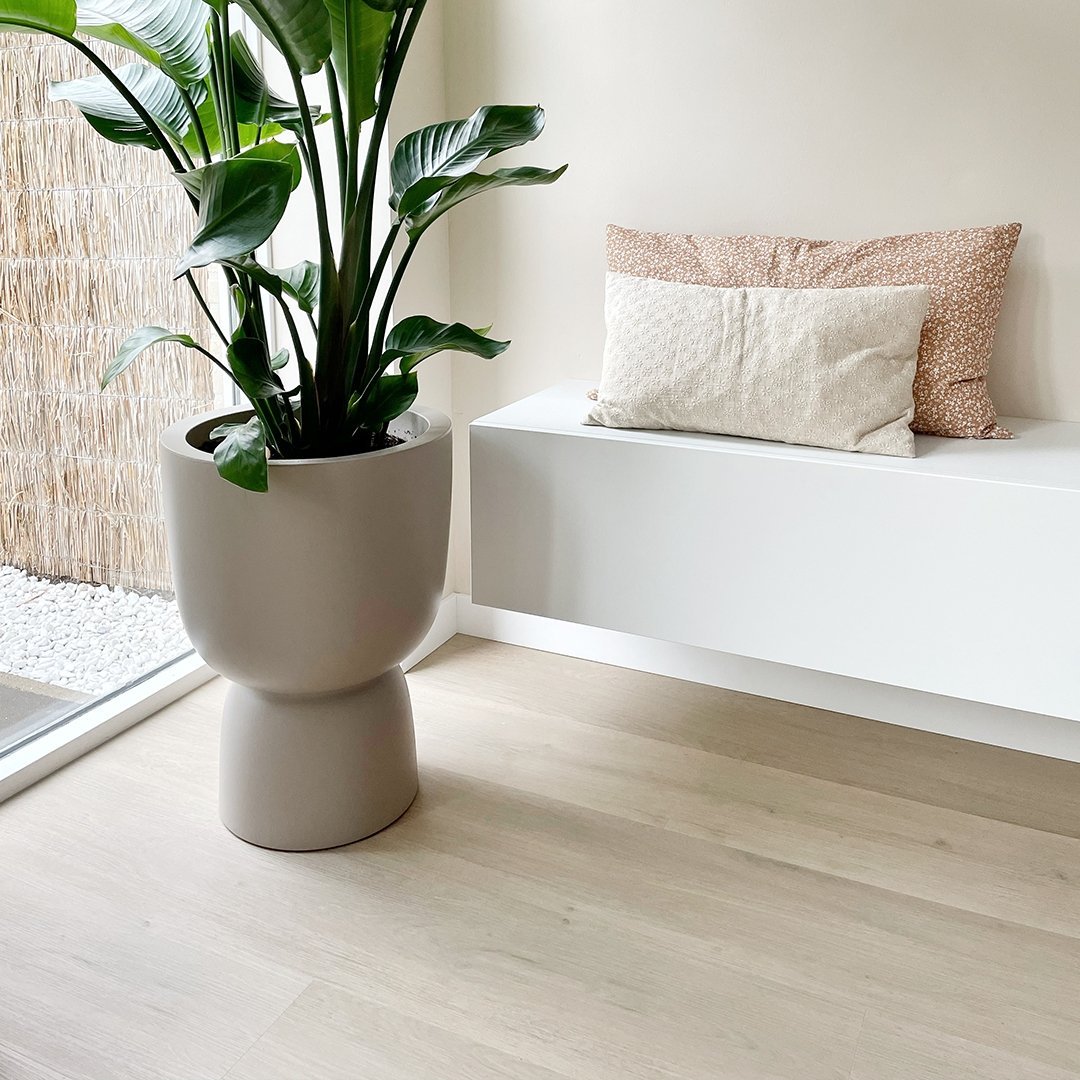Belakos Attico 830 Klebe-Vinyl - Solzaleben.de