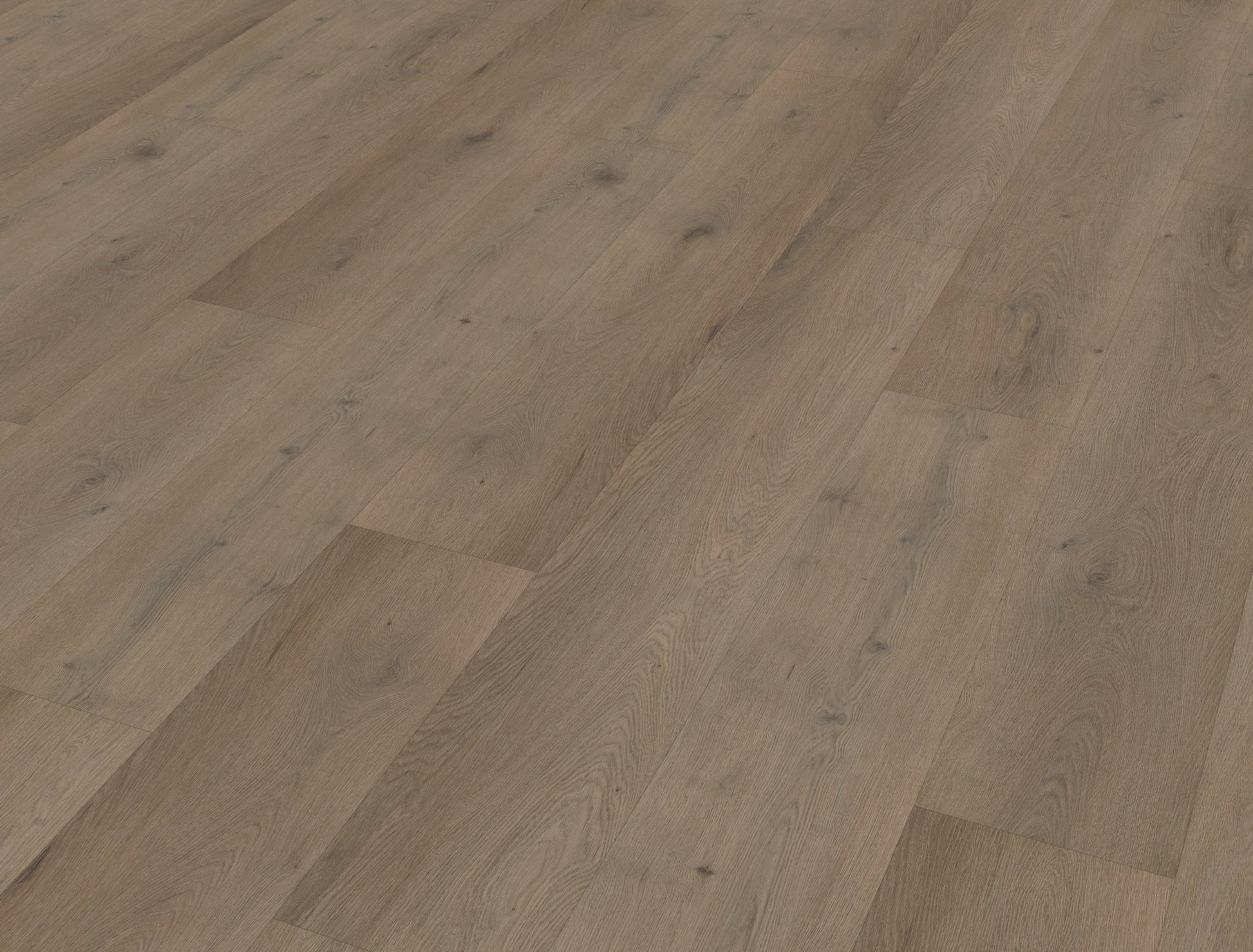 Belakos Attico 840 Klebe - Vinyl - Solzaleben.de