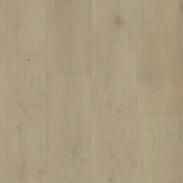 Belakos Attico 850 Klebe-Vinyl - Solzaleben.de