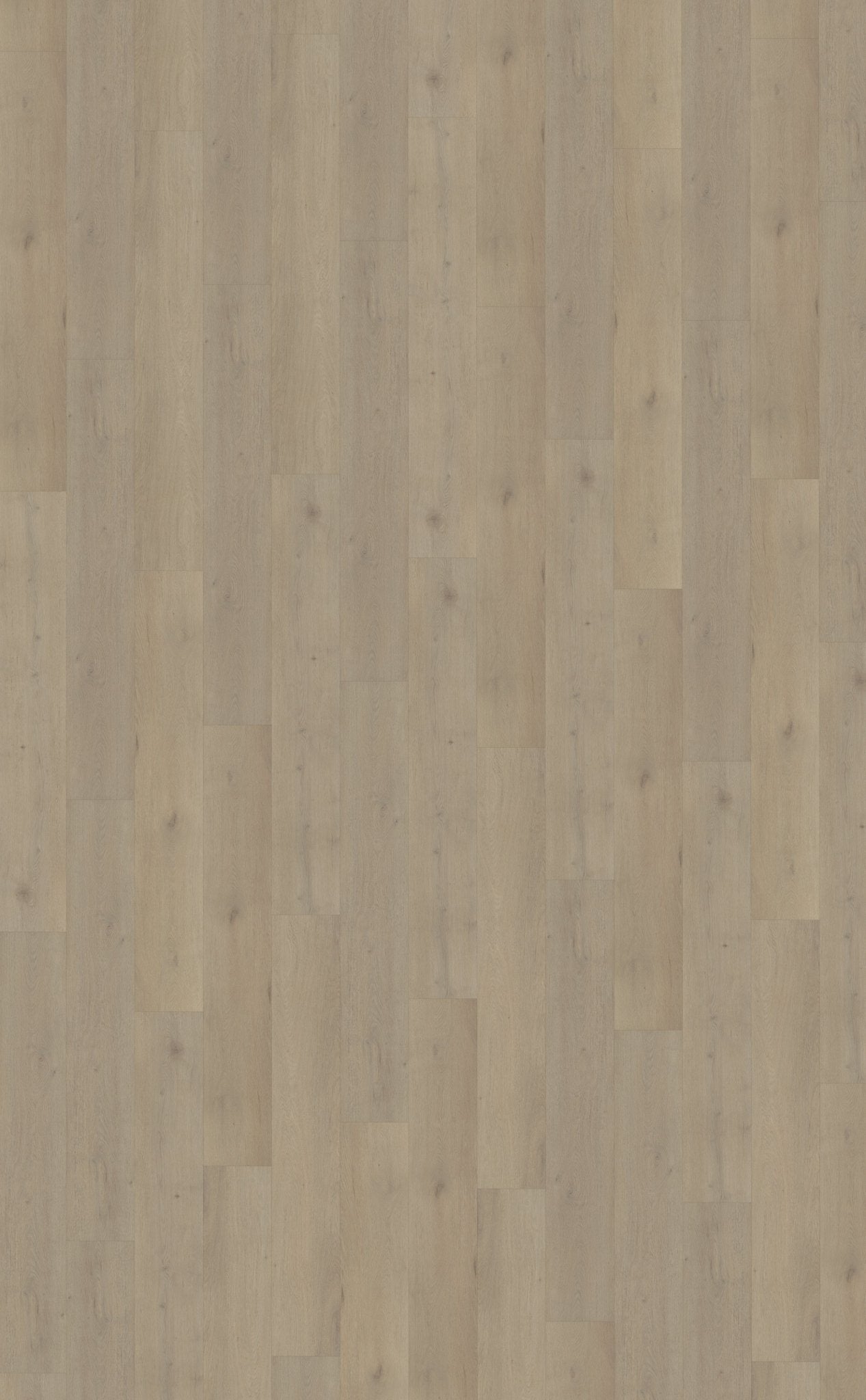 Belakos Attico 850 Klebe - Vinyl - Solzaleben.de