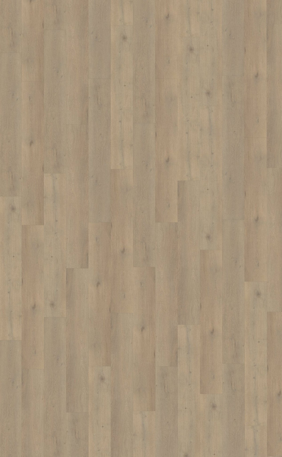 Belakos Attico 860 Klebe-Vinyl - Solzaleben.de
