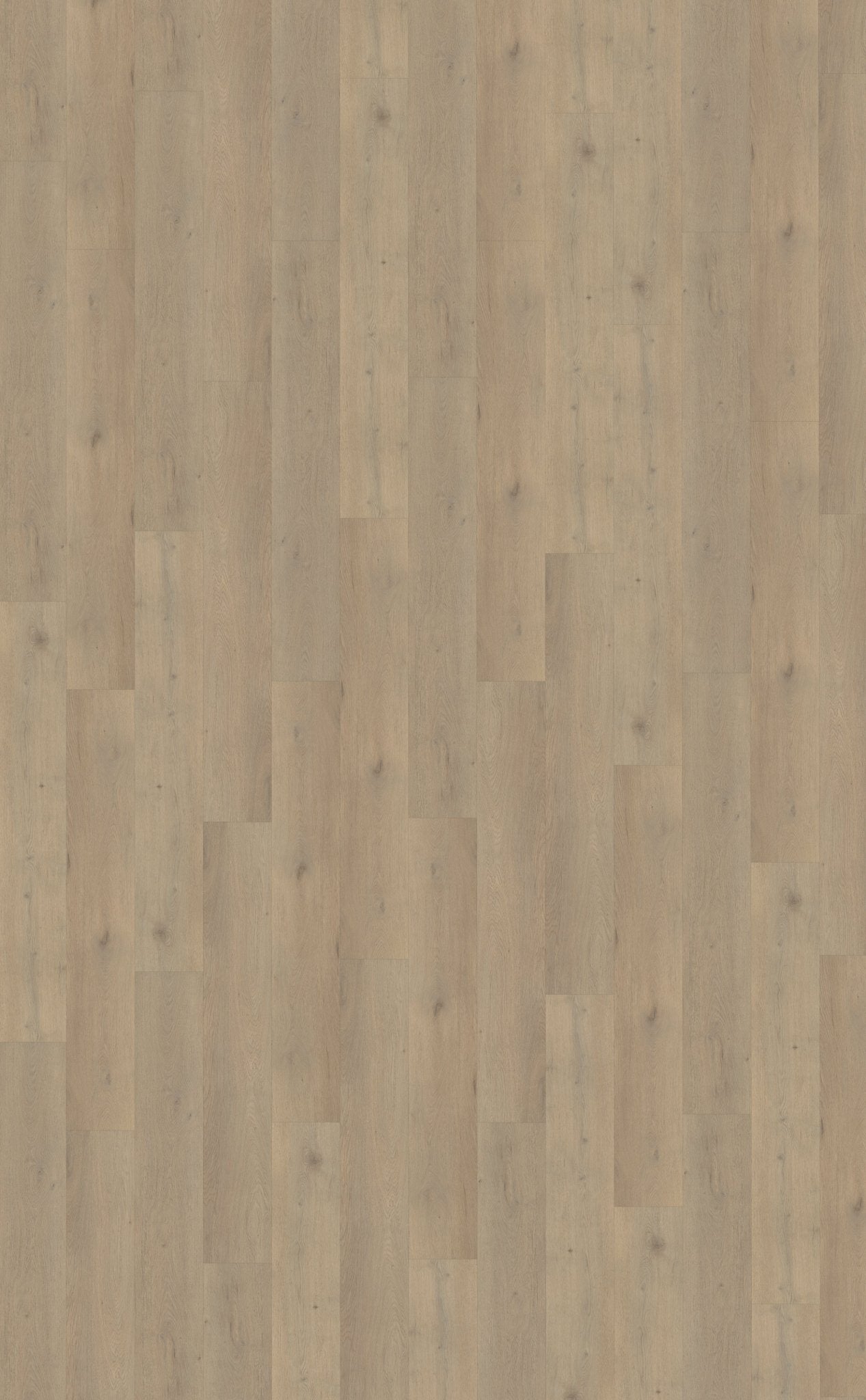 Belakos Attico 860 Klebe - Vinyl - Solzaleben.de