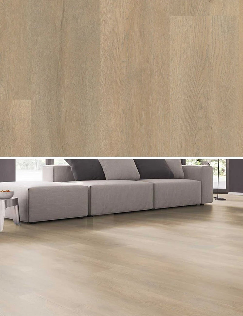 Belakos Palazzo 710 Klebe-Vinyl - Solzaleben.de