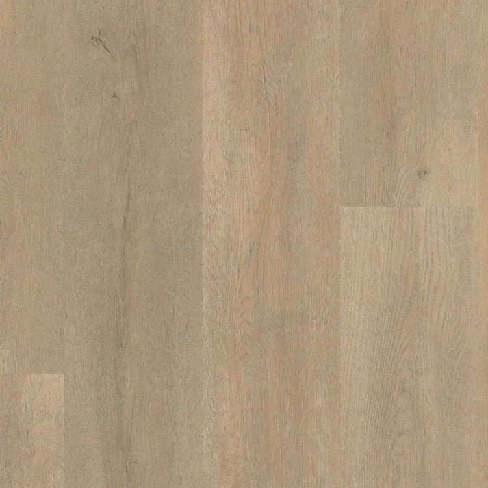 Belakos Palazzo 710 Klebe - Vinyl - Solzaleben.de