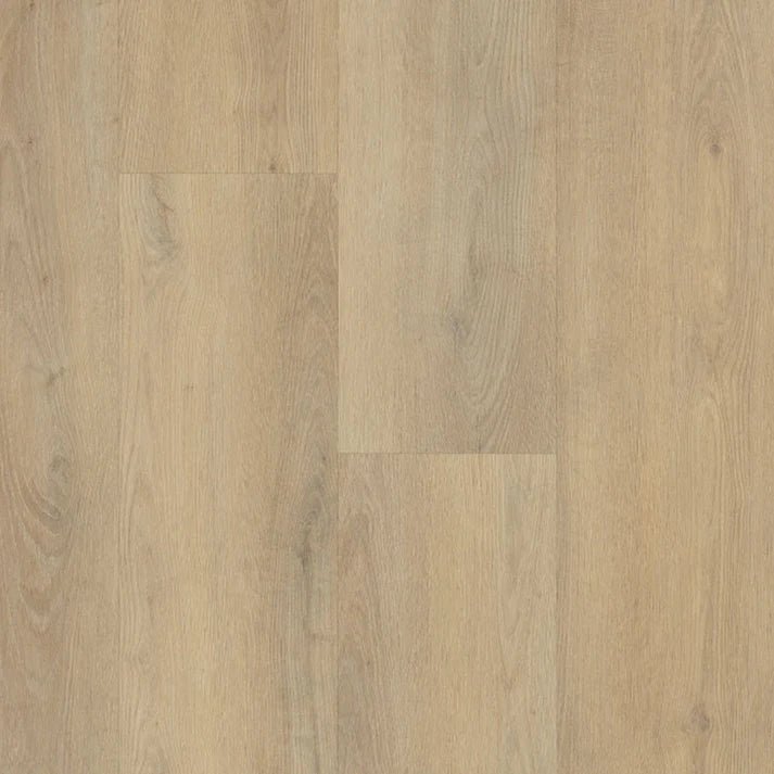 Belakos Palazzo 720 Klebe - Vinyl - Solzaleben.de