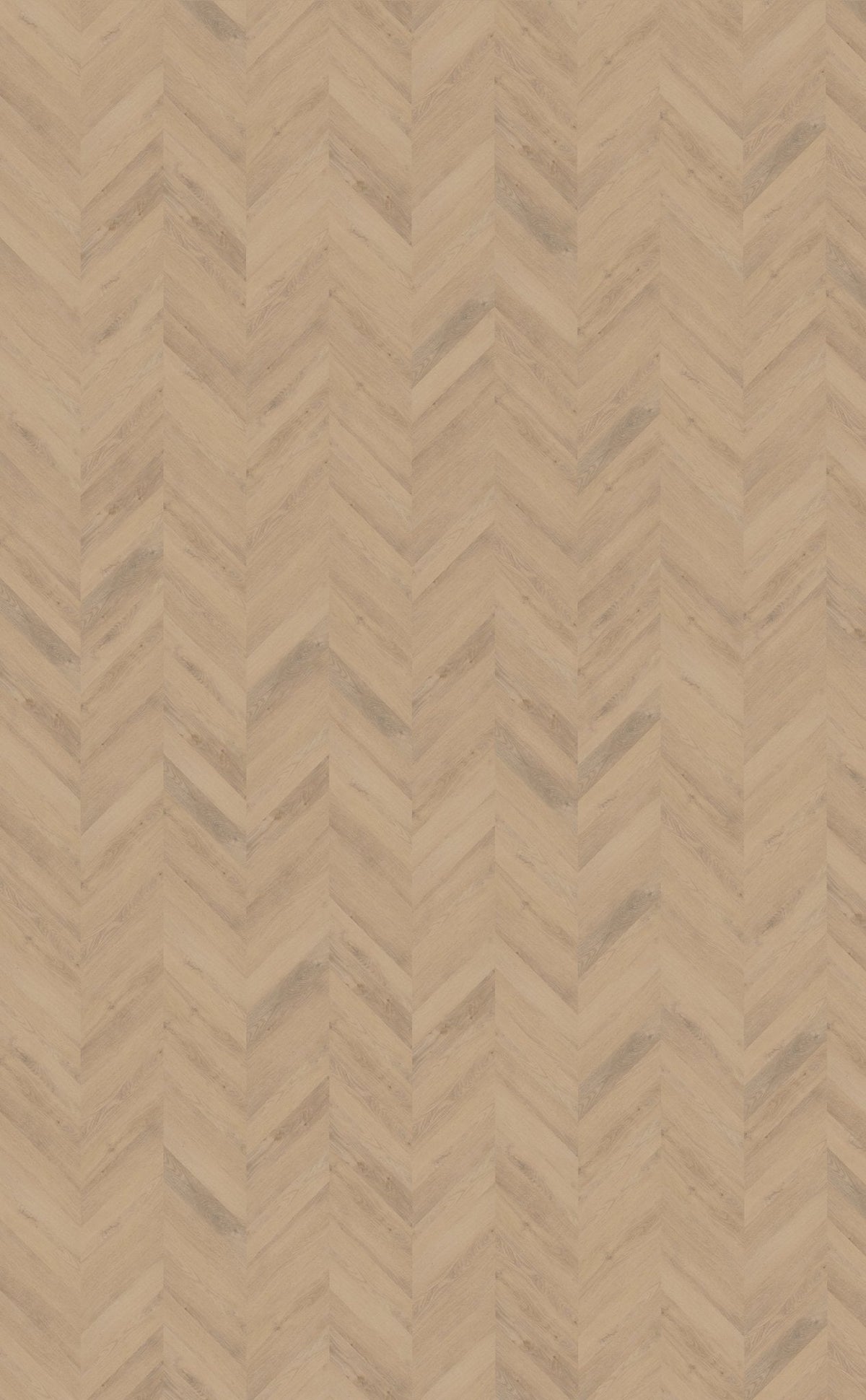 Belakos Palazzo Chevron 72 Klebe-Vinyl - Solzaleben.de