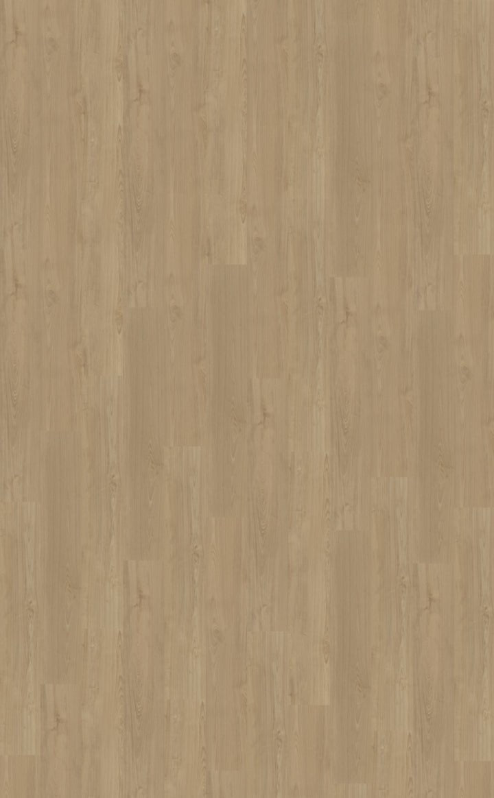 Belakos Portico 540 Klebe-Vinyl - Solzaleben.de