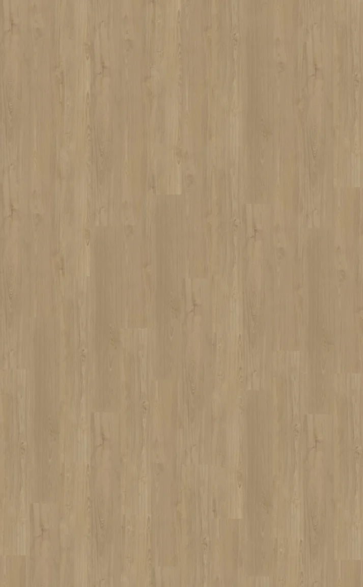 Belakos Portico 540 Klebe - Vinyl - Solzaleben.de