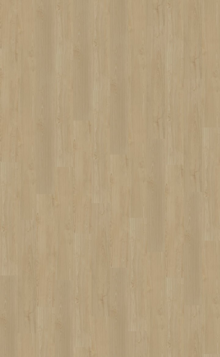 Belakos Portico 550 Klebe-Vinyl - Solzaleben.de
