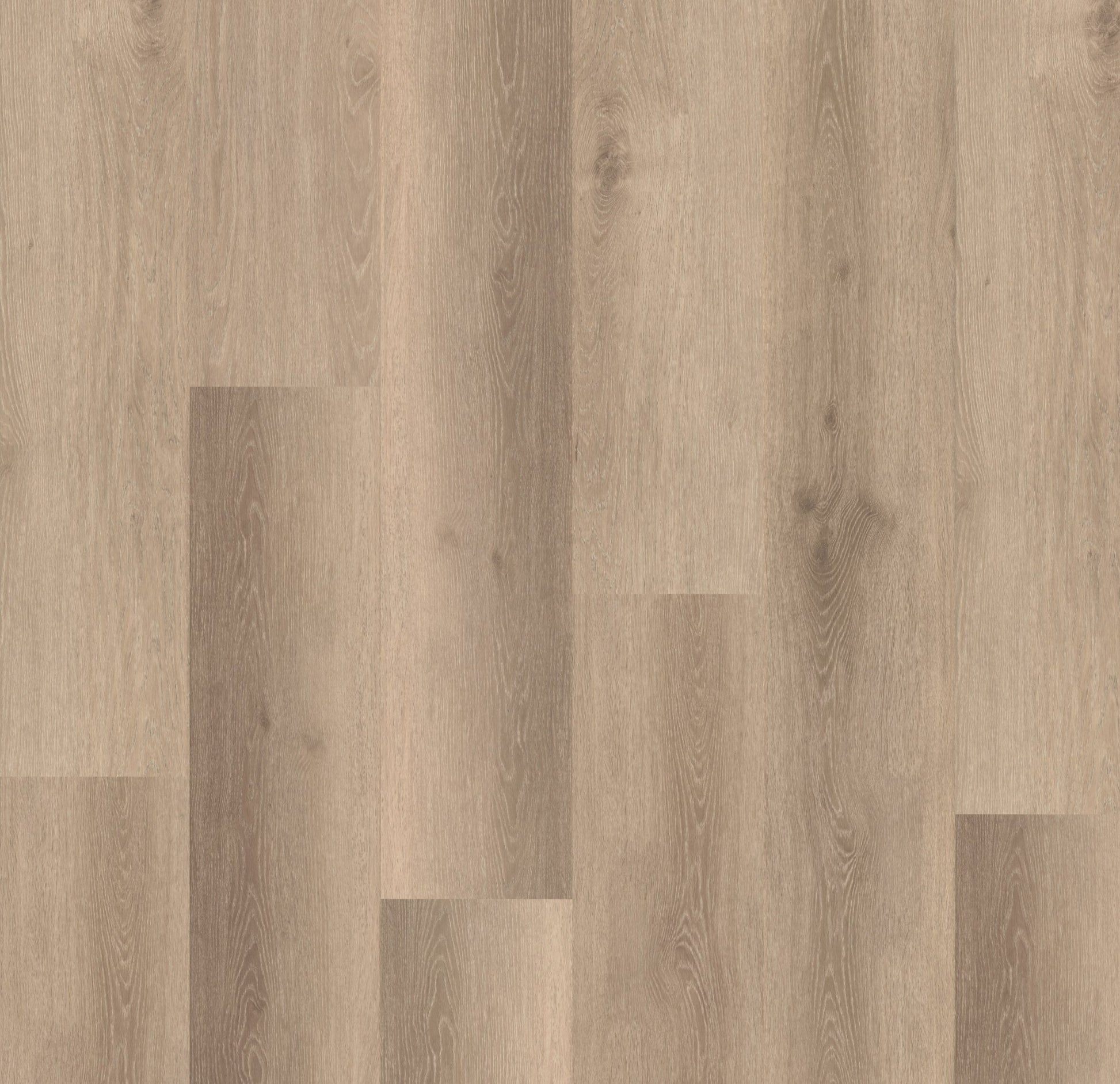 Belakos Rustico 40 Klebe - Vinyl - Solzaleben.de