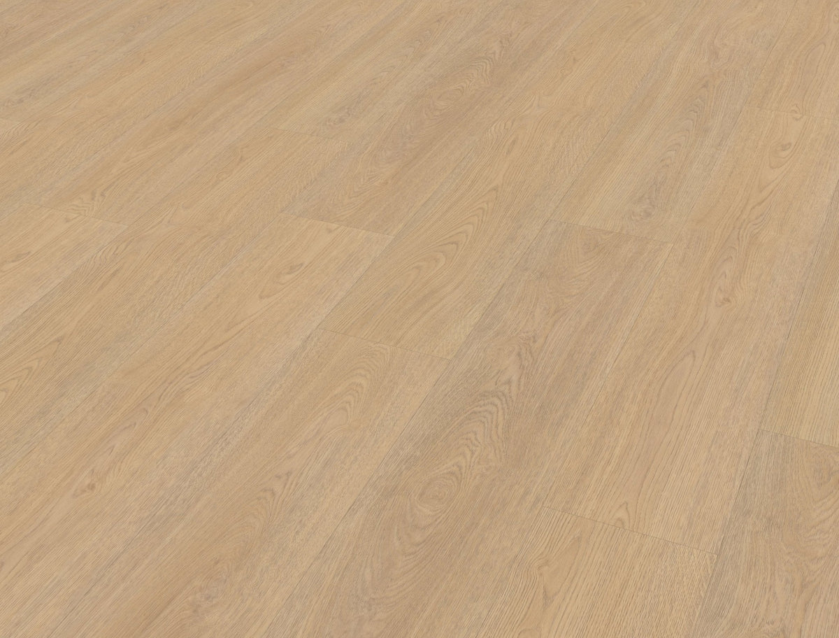 Belakos Terreno 610 Klebe-Vinyl – Detailansicht 1
