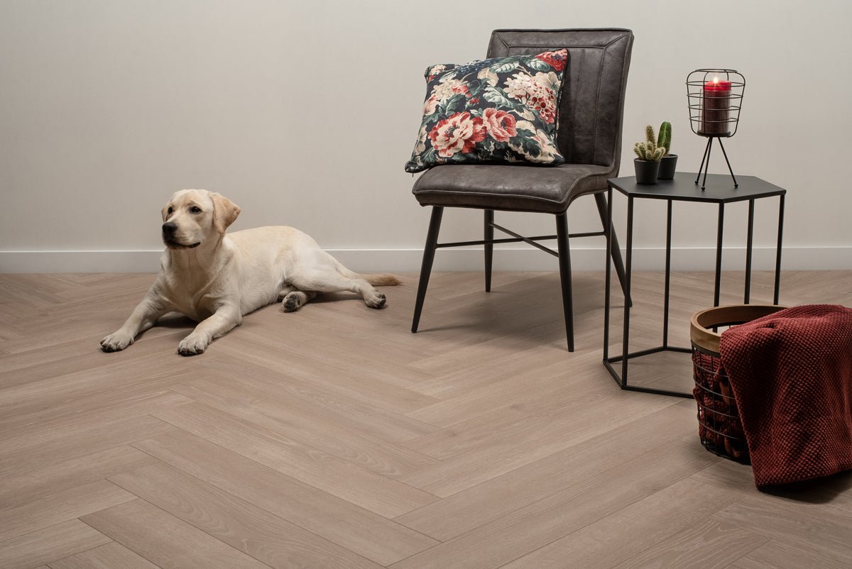 Floer Gravel Grau Walfishgrät Laminat FLR - 1614 - Solzaleben.de