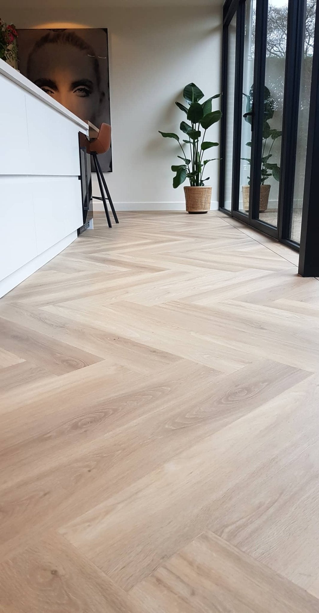 Floer Orca Unbehandelt Walfischgrät Klebe - Vinyl FLR - 3528 - Solzaleben.de