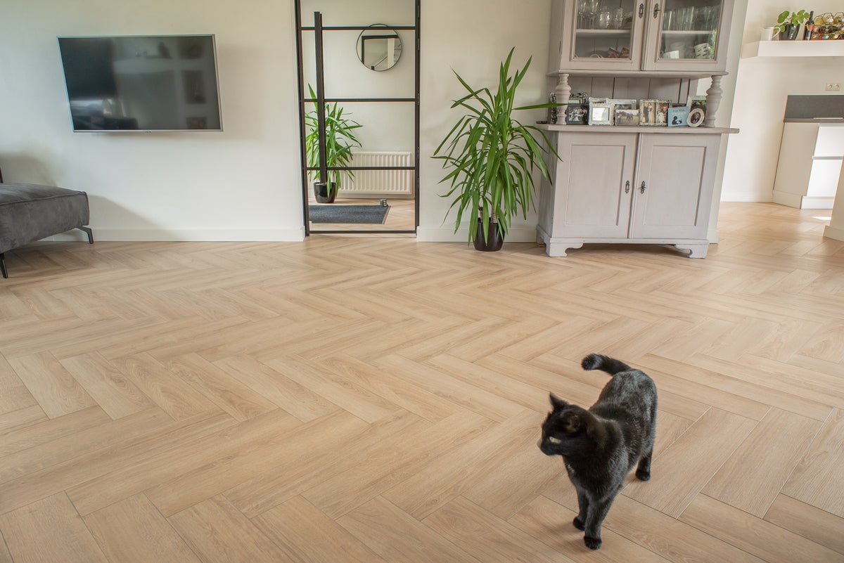 Floer Unbehandelt Eiche Fishgrät Laminat FLR - 1606 - Solzaleben.de