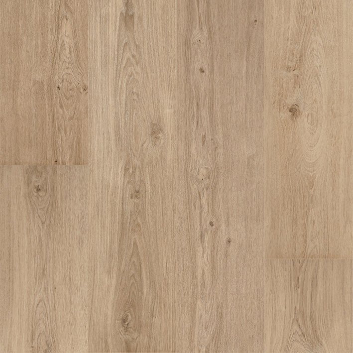Floorify Champagne FG017 Große Dielen Klebe - Vinyl - Solzaleben.de