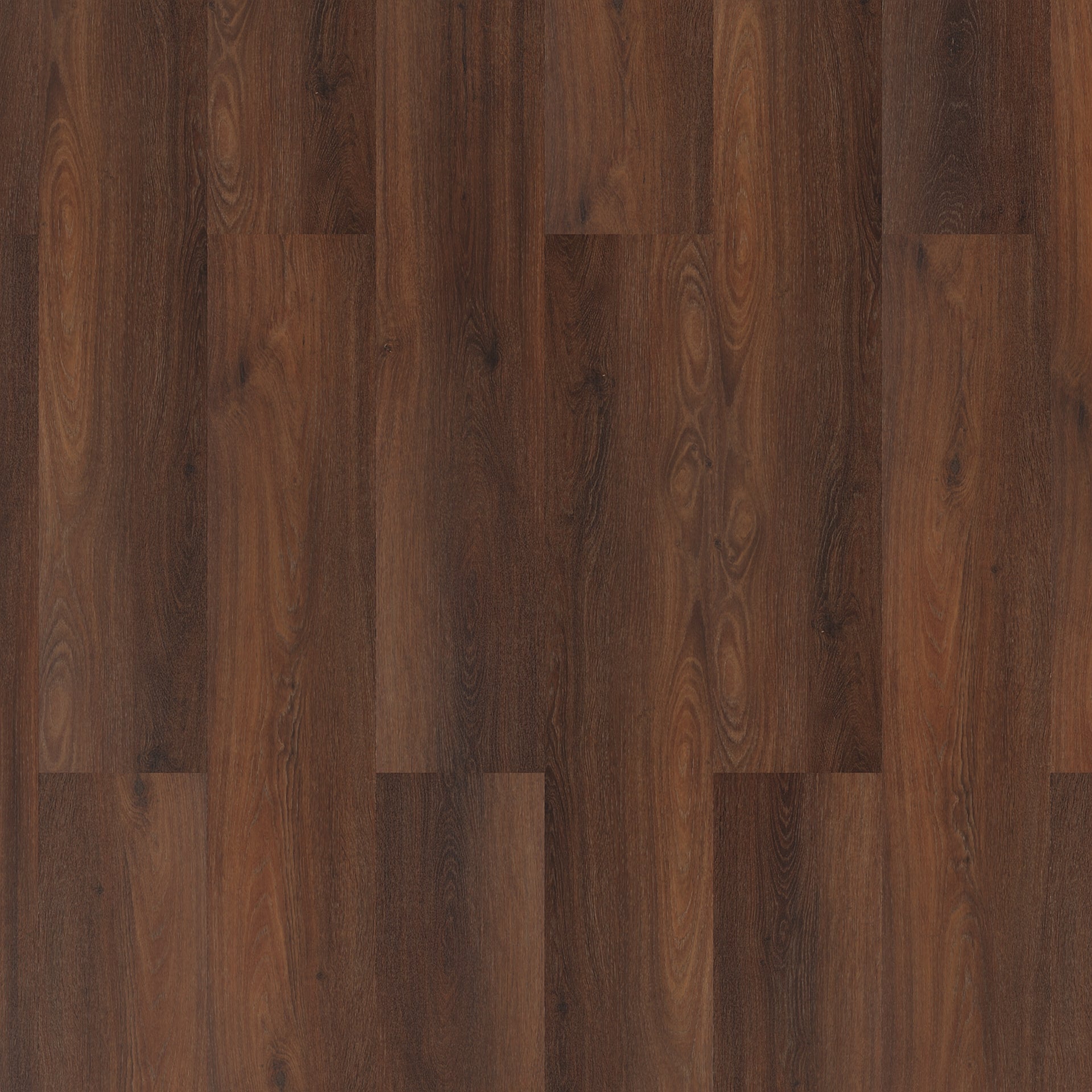 ROOM5 Executive Gold Klebe - Vinyl Diele 555100104 - Solzaleben.de
