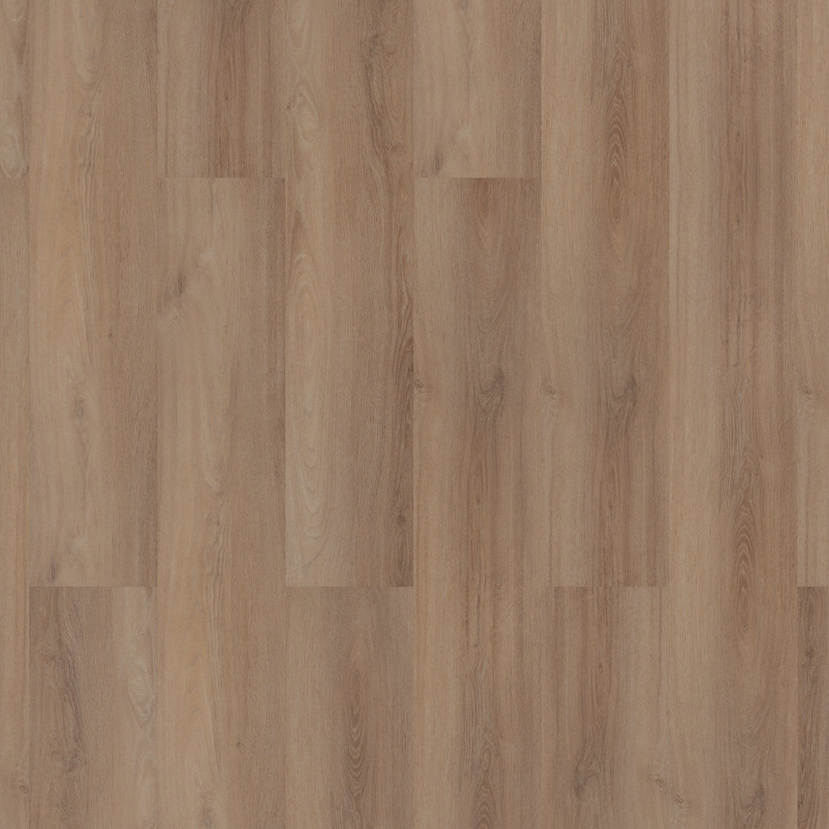 ROOM5 Superior Beige Klebe-Vinyl Diele 555100102