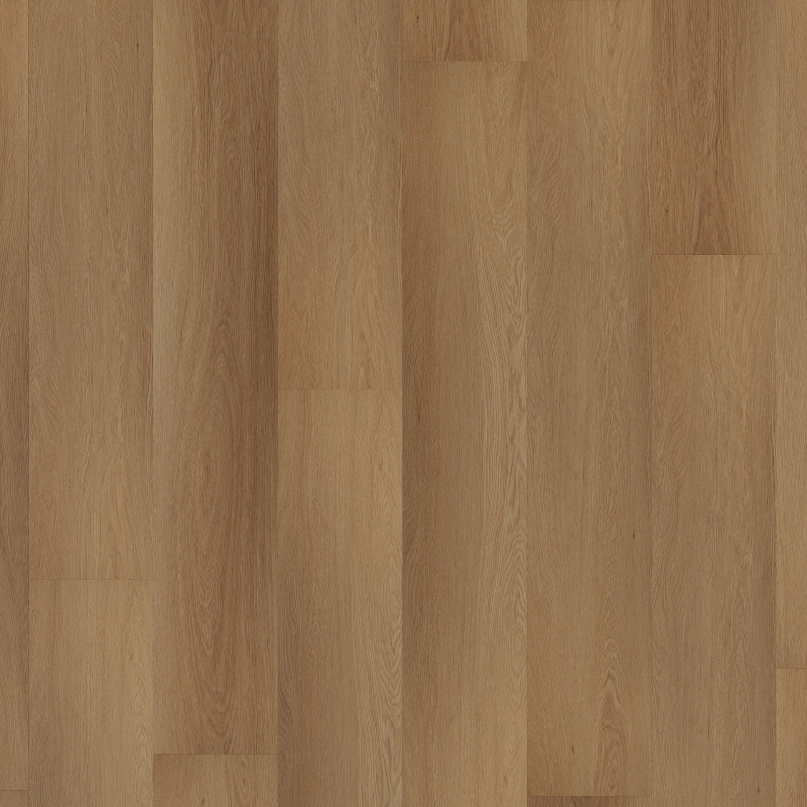 ROOM5 Western Hemlock Klebe - Vinyl Diele 555 - 00106 - Solzaleben.de