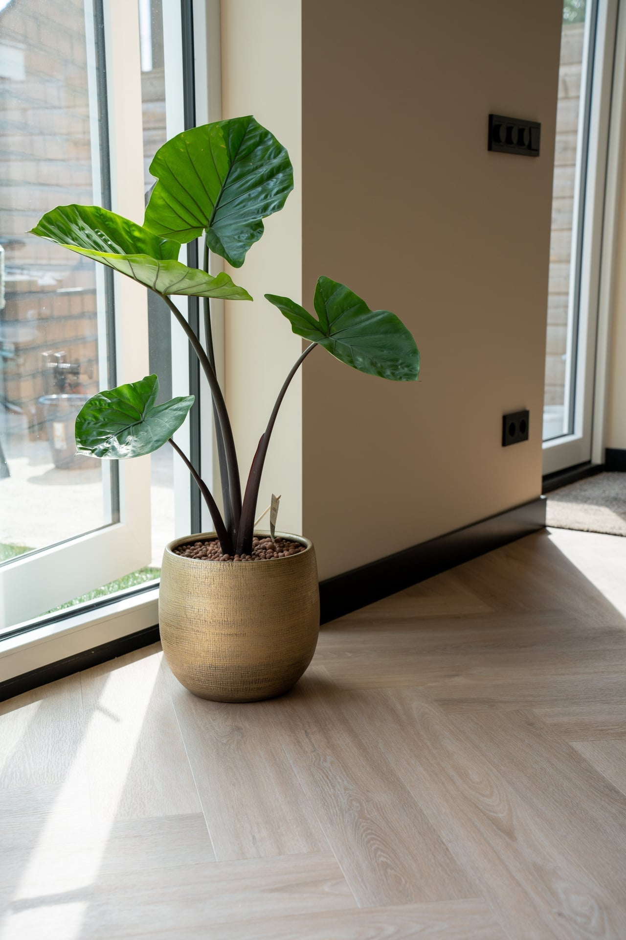 Solza Como Crème Walfischgrät Klebe - Vinyl SLZ - 5021 - Solzaleben.de