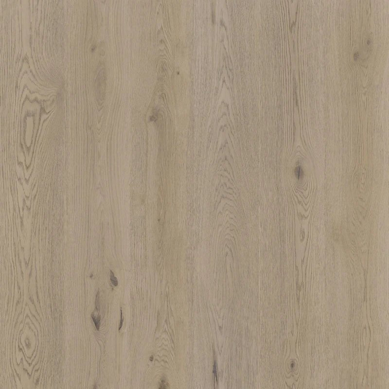 Therdex 15061 Authentic Klebe - Vinyl - Solzaleben.de