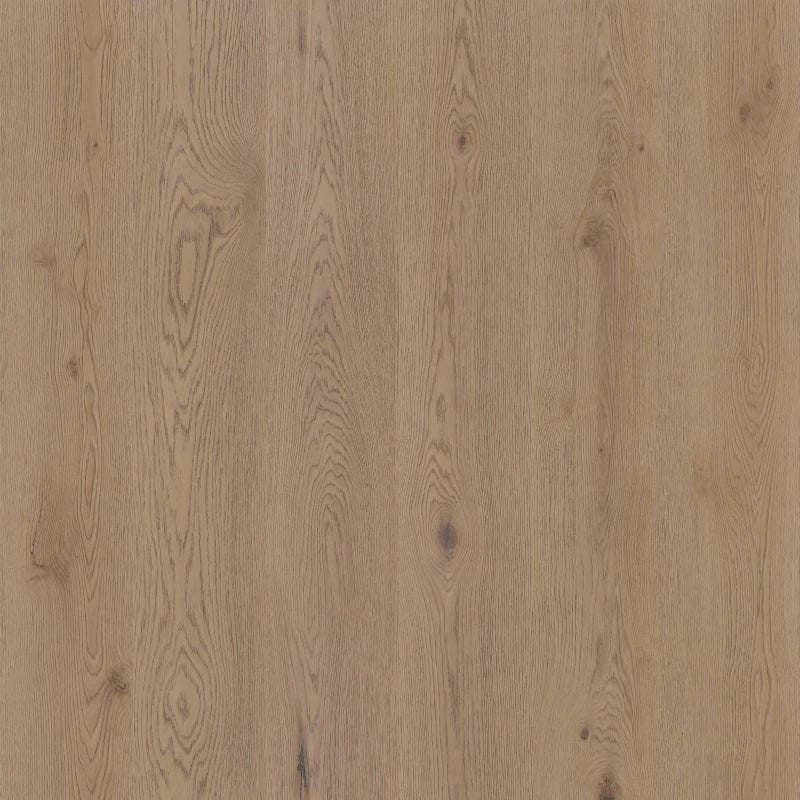 Therdex 15062 Authentic Klebe - Vinyl - Solzaleben.de