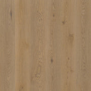Therdex 15063 Authentic Klebe - Vinyl - Solzaleben.de