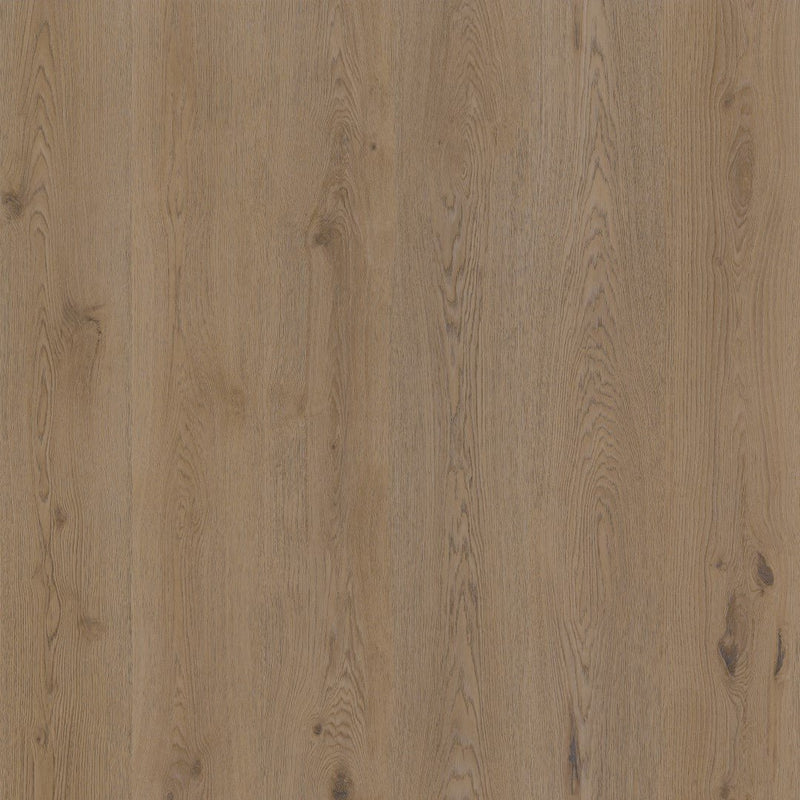 Therdex 15064 Authentic Klebe-Vinyl