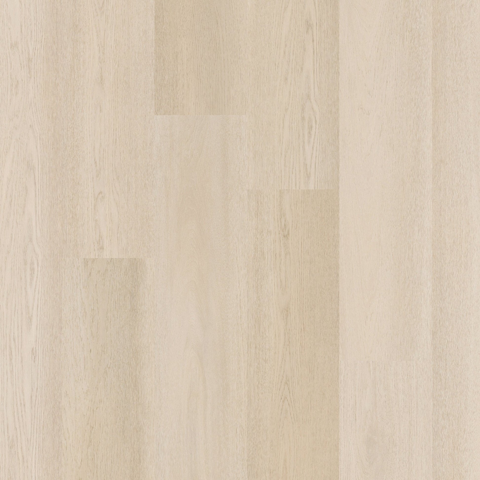 Therdex 15081 Premier Klebe - Vinyl - Solzaleben.de