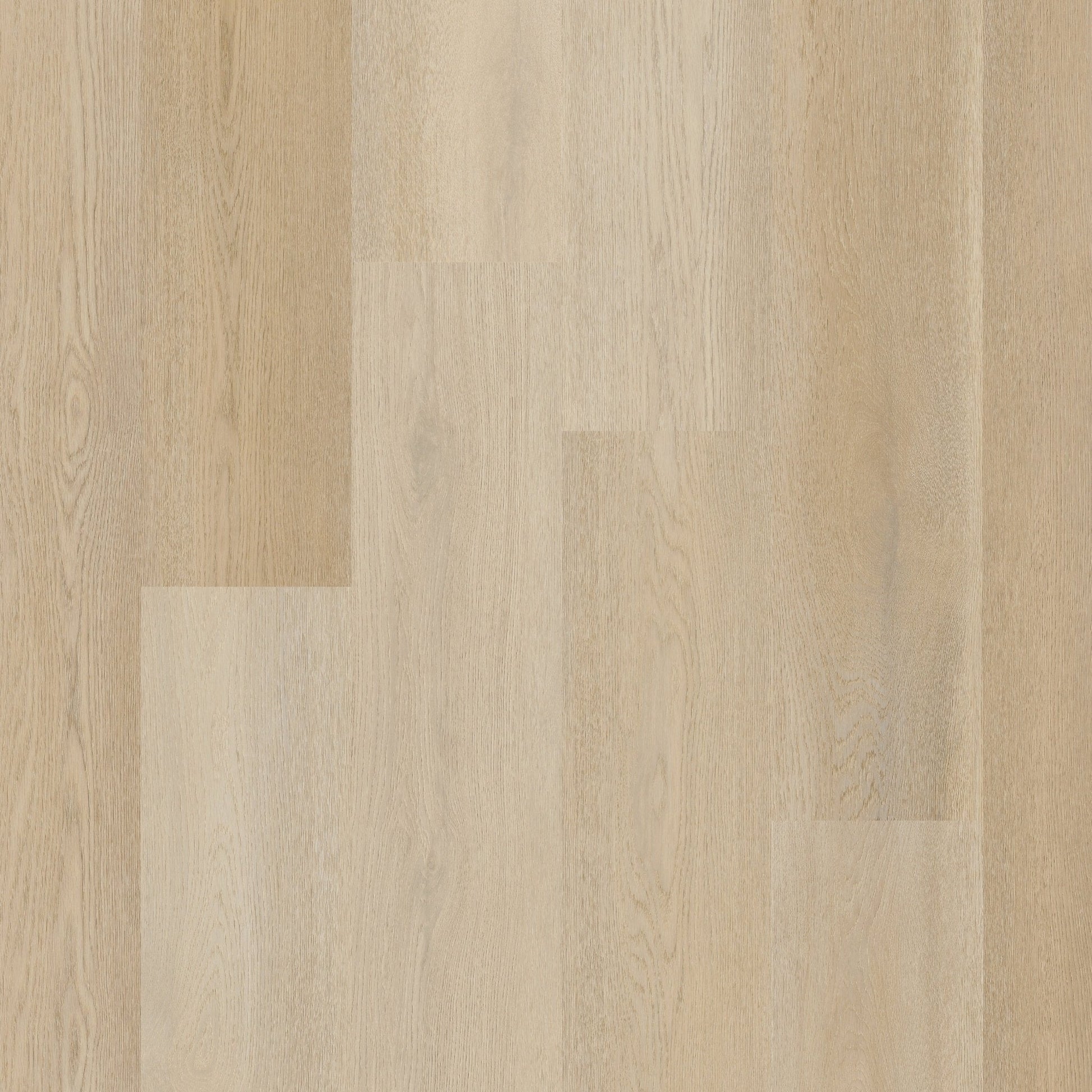 Therdex 15082 Premier Klebe - Vinyl - Solzaleben.de