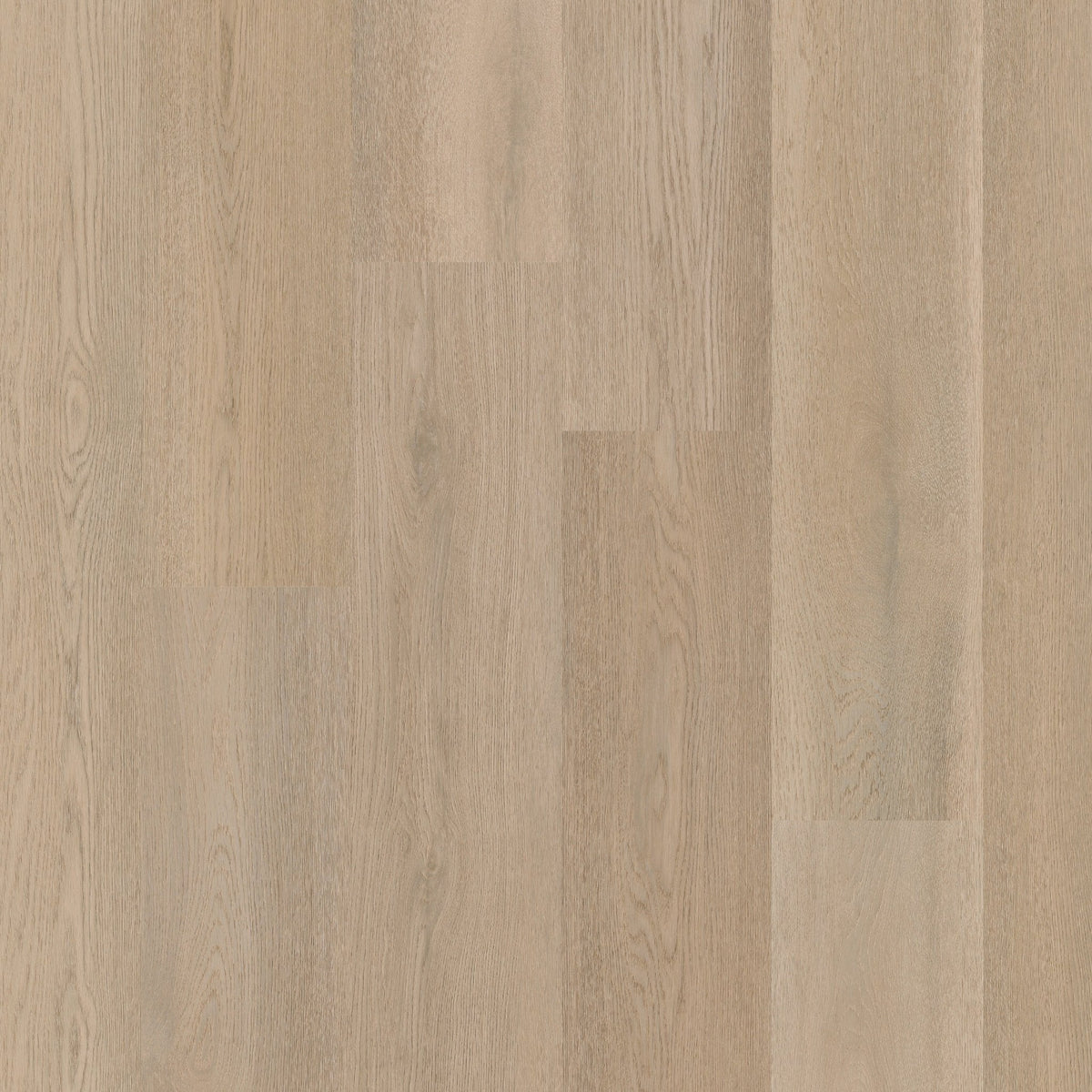 Therdex 15083 Premier Klebe-Vinyl - Solzaleben.de