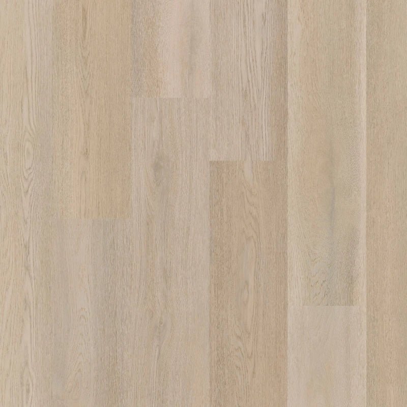 Therdex 15083 Premier Klebe - Vinyl - Solzaleben.de
