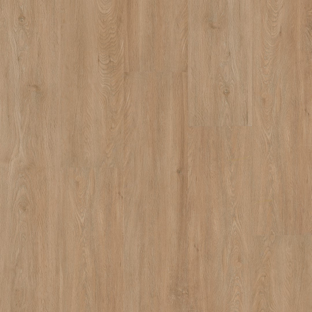 Therdex 18010 XstraLong Klebe-Vinyl