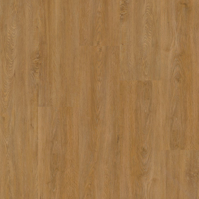 Therdex 18040 XstraLong Klebe-Vinyl