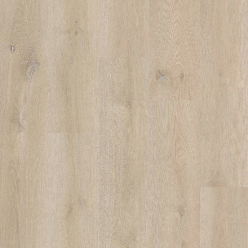 Therdex 18070 XstraLong Klebe-Vinyl
