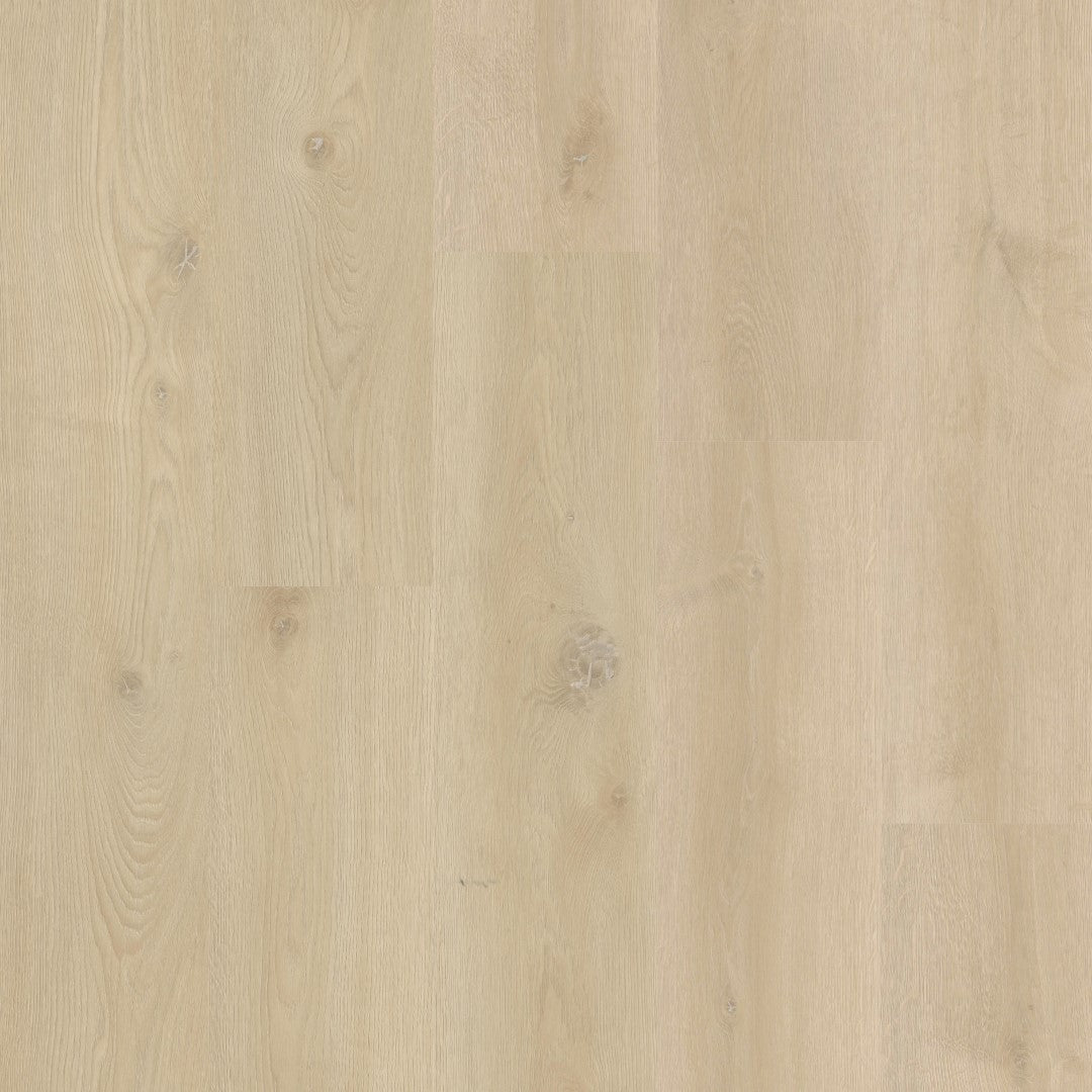 Therdex 18080 XstraLong Klebe-Vinyl - Solzaleben.de