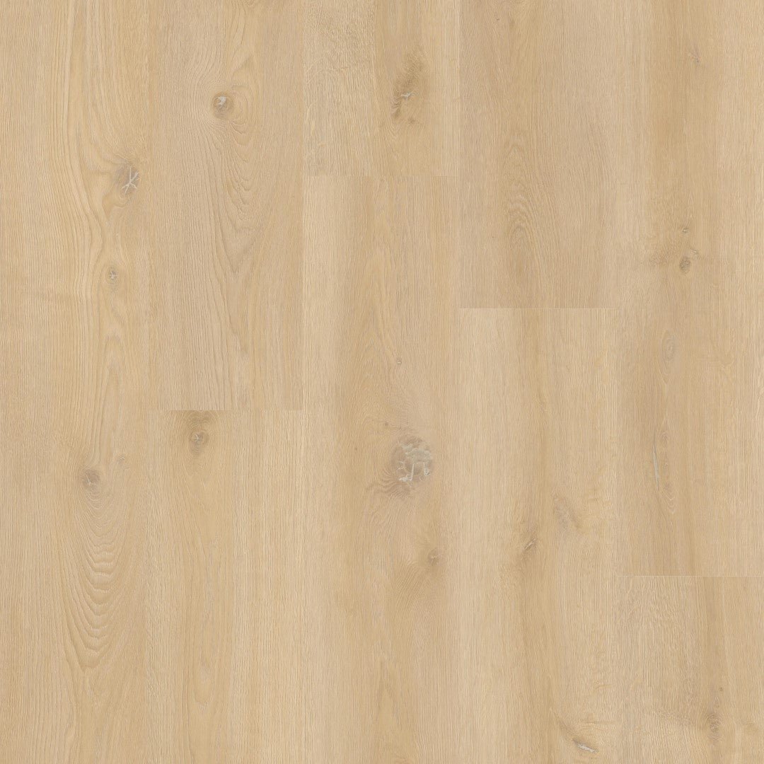 Therdex 18090 XstraLong Klebe-Vinyl - Solzaleben.de