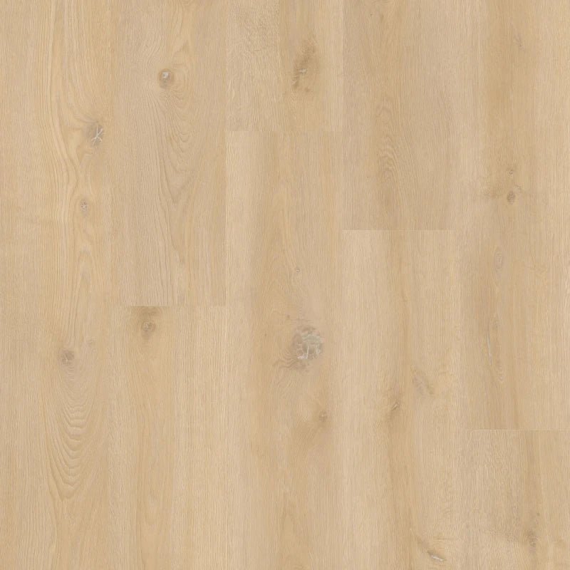 Therdex 18090 XstraLong Klebe - Vinyl - Solzaleben.de