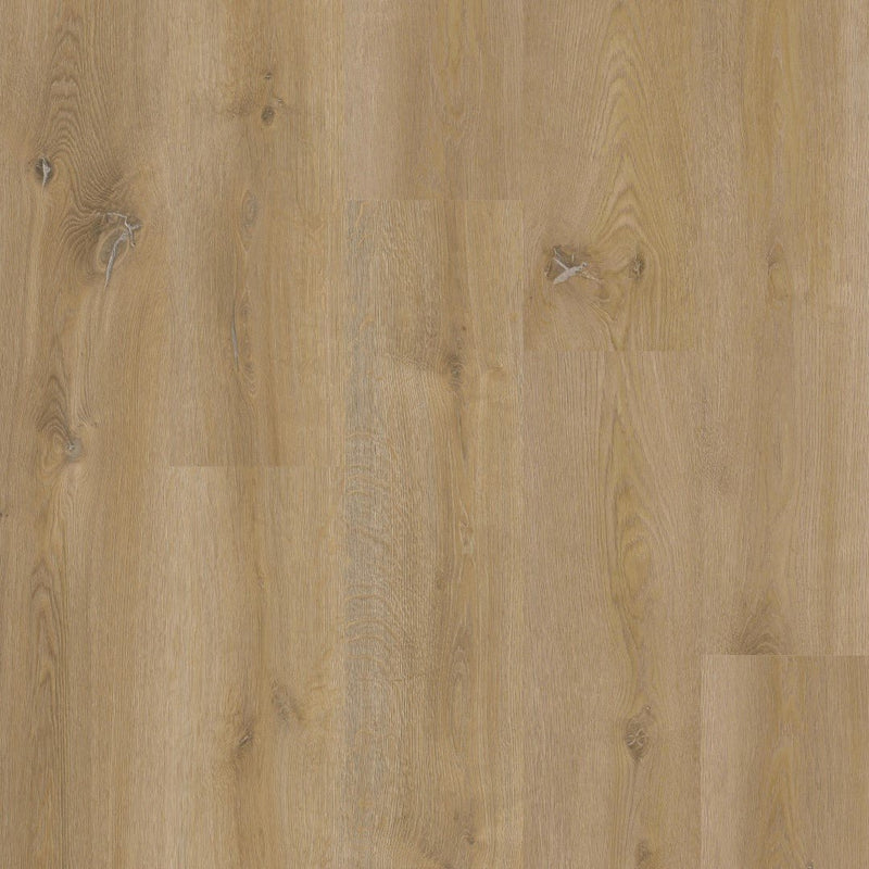 Therdex 18100 XstraLong Klebe-Vinyl