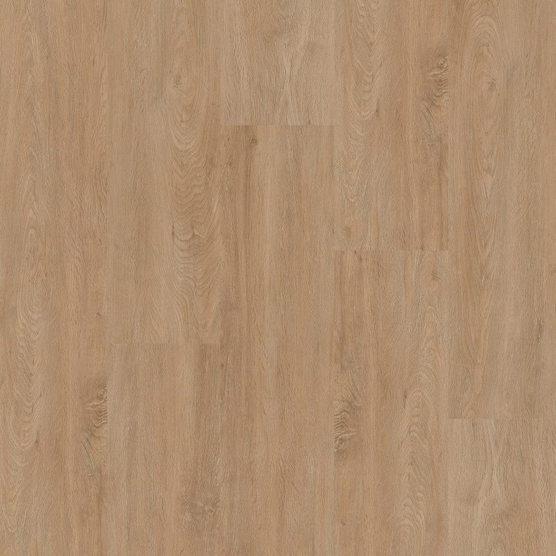 Therdex 2010-2 Basic Klebe-Vinyl