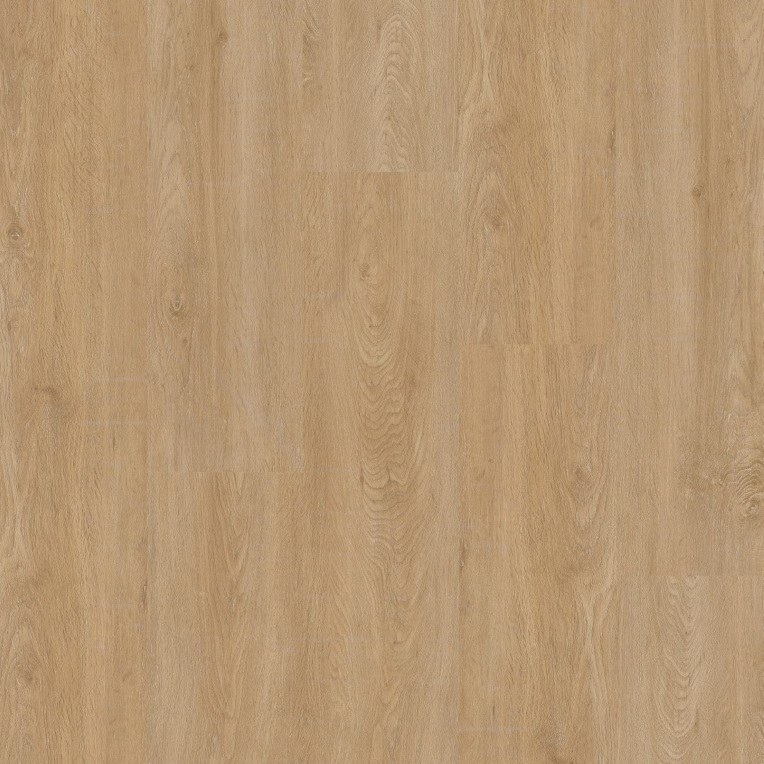 Therdex 2050 - 2 Basic Klebe - Vinyl - Solzaleben.de