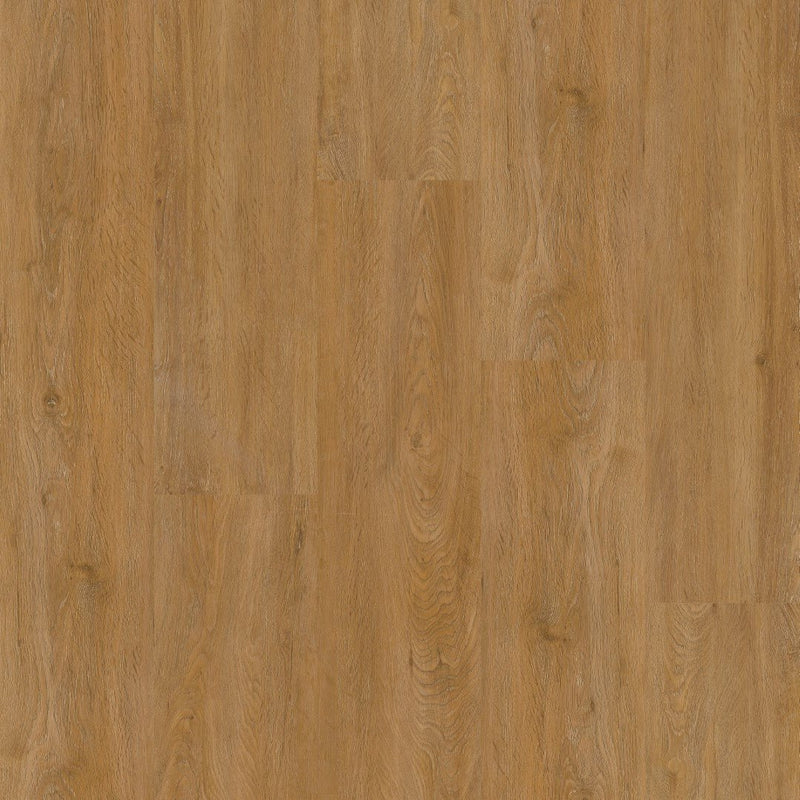 Therdex 2540 Regular Klebe-Vinyl
