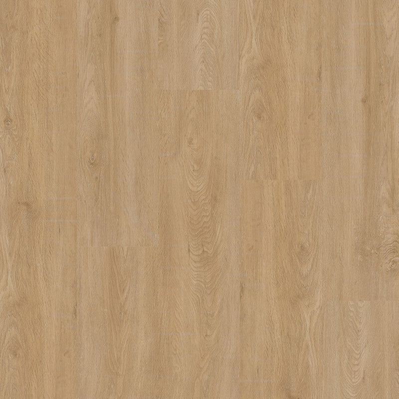 Therdex 2550 Regular Klebe-Vinyl