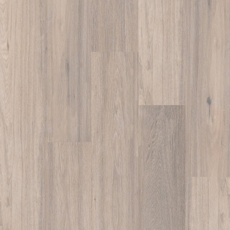 Therdex 3010 Regular Klebe-Vinyl