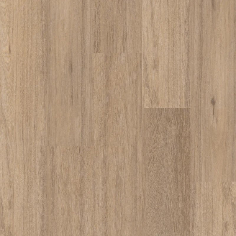 Therdex 3020 Regular Klebe - Vinyl - Solzaleben.de